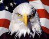 USA's Avatar