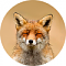 ProxyFoxy's Avatar